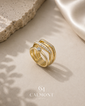 Anillo Rivolí